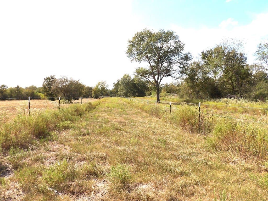 163.11 acres in Texas County - photo 15
