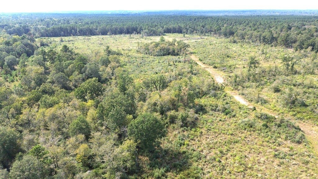 163.11 acres in Texas County - photo 20