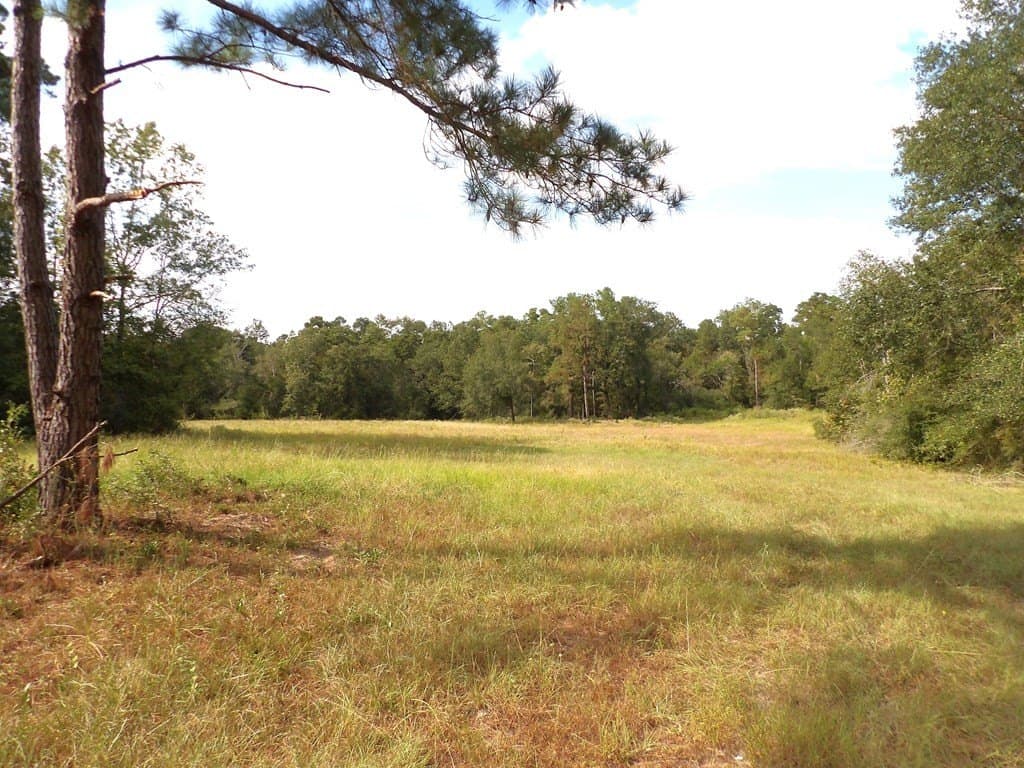 163.11 acres in Texas County - photo 16
