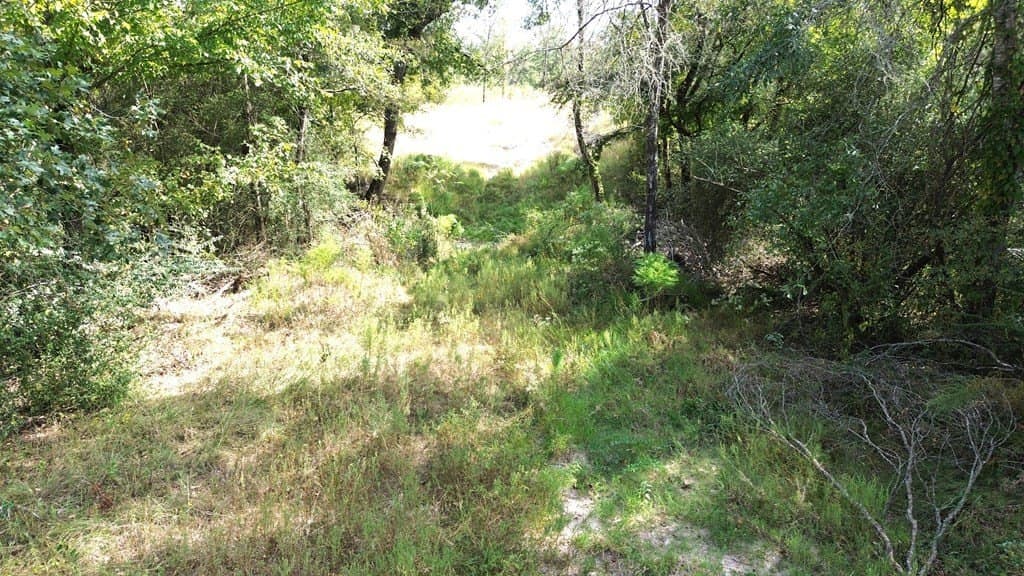 163.11 acres in Texas County - photo 27
