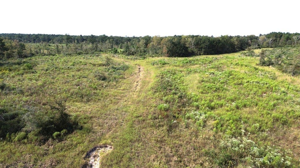 163.11 acres in Texas County - photo 17