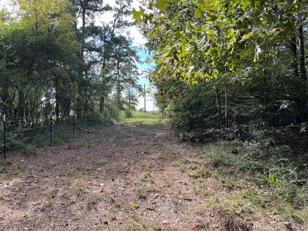 163.11 acres in Texas County - photo 31