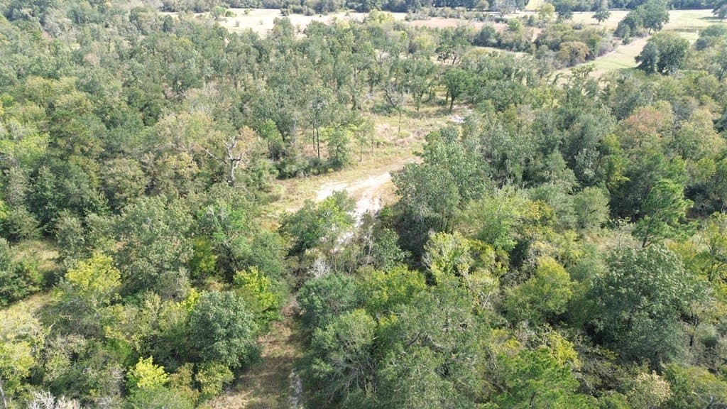 163.11 acres in Texas County - photo 24