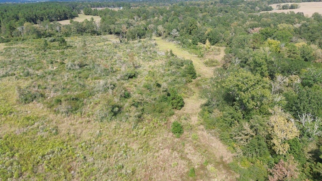 163.11 acres in Texas County - photo 25
