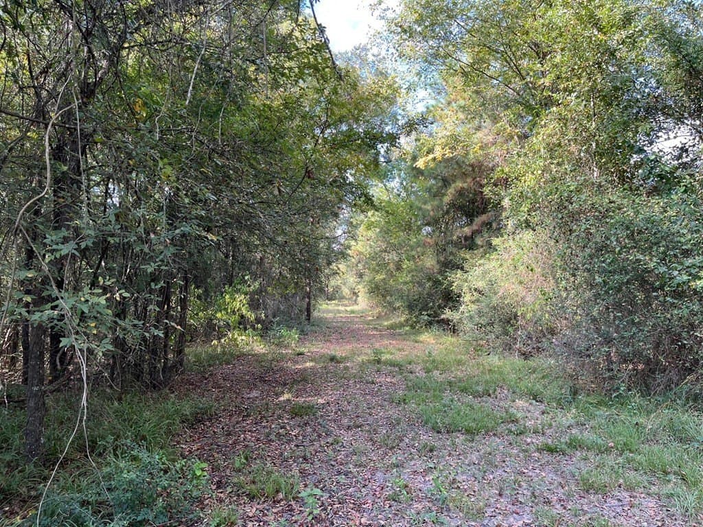 163.11 acres in Texas County - photo 38