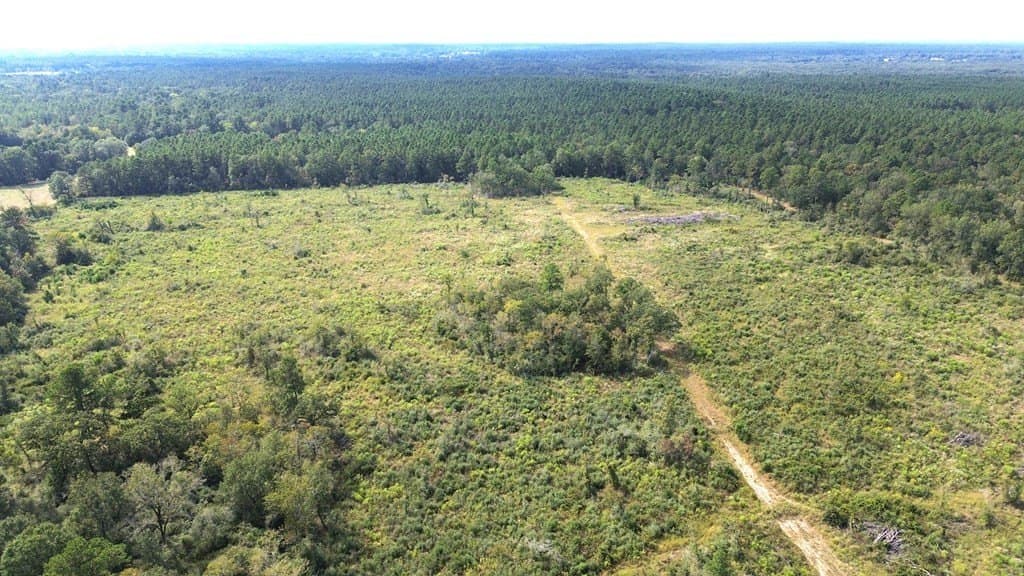 163.11 acres in Texas County gallery image 3