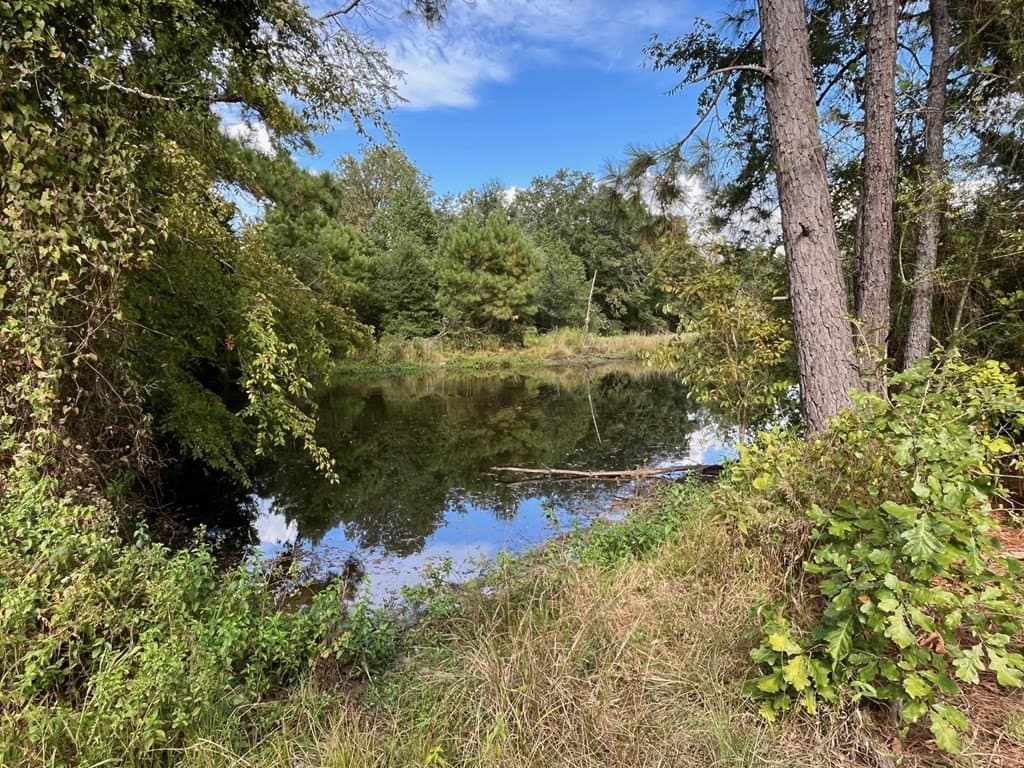 163.11 acres in Texas County - photo 35