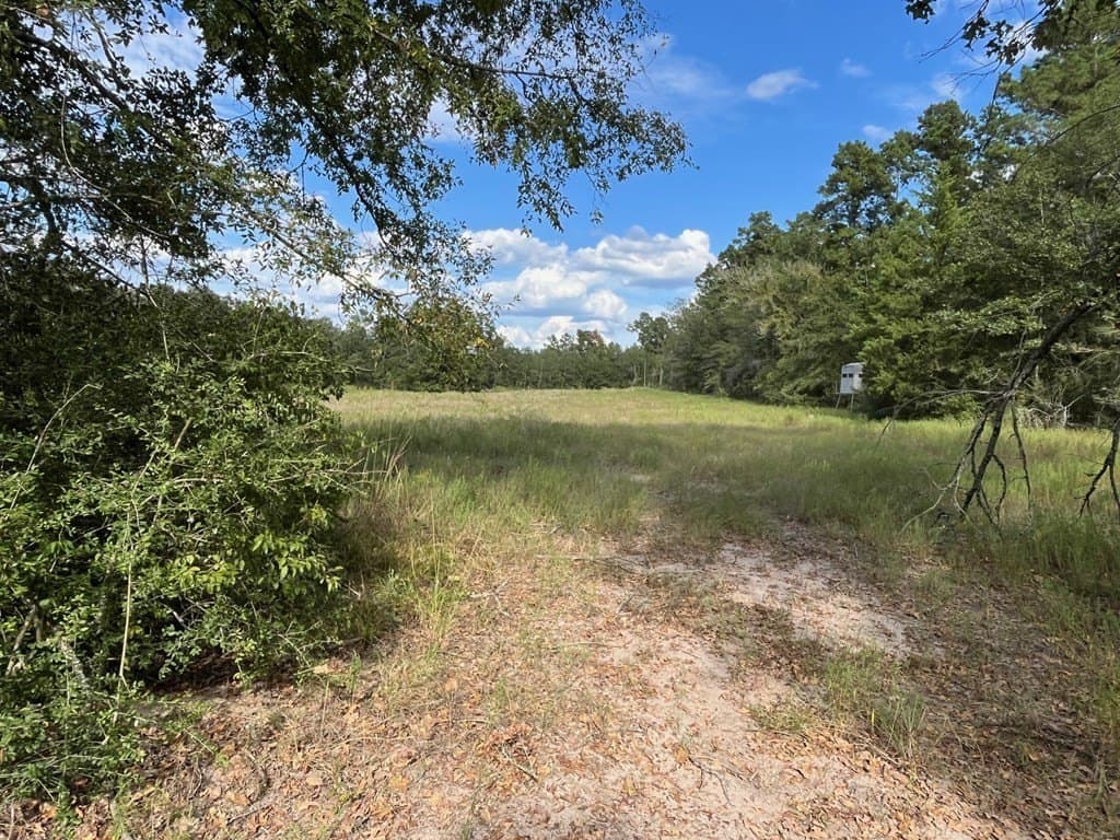163.11 acres in Texas County - photo 36