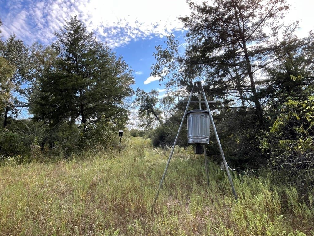 163.11 acres in Texas County - photo 9