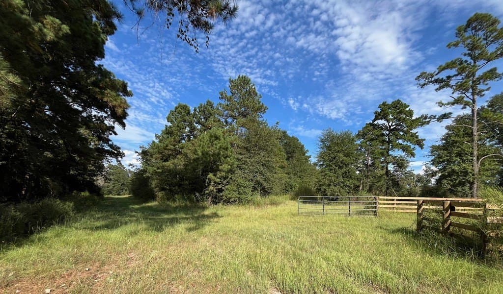 163.11 acres in Texas County - photo 37