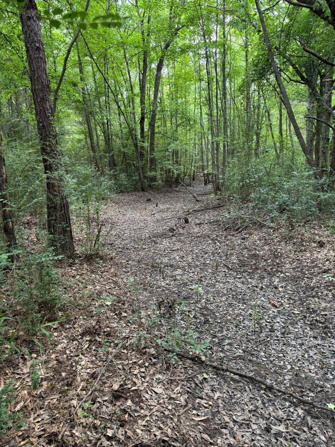 105.5 acres in Upshur County - photo 32