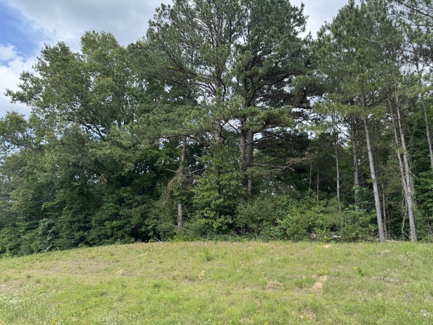 105.5 acres in Upshur County - photo 16