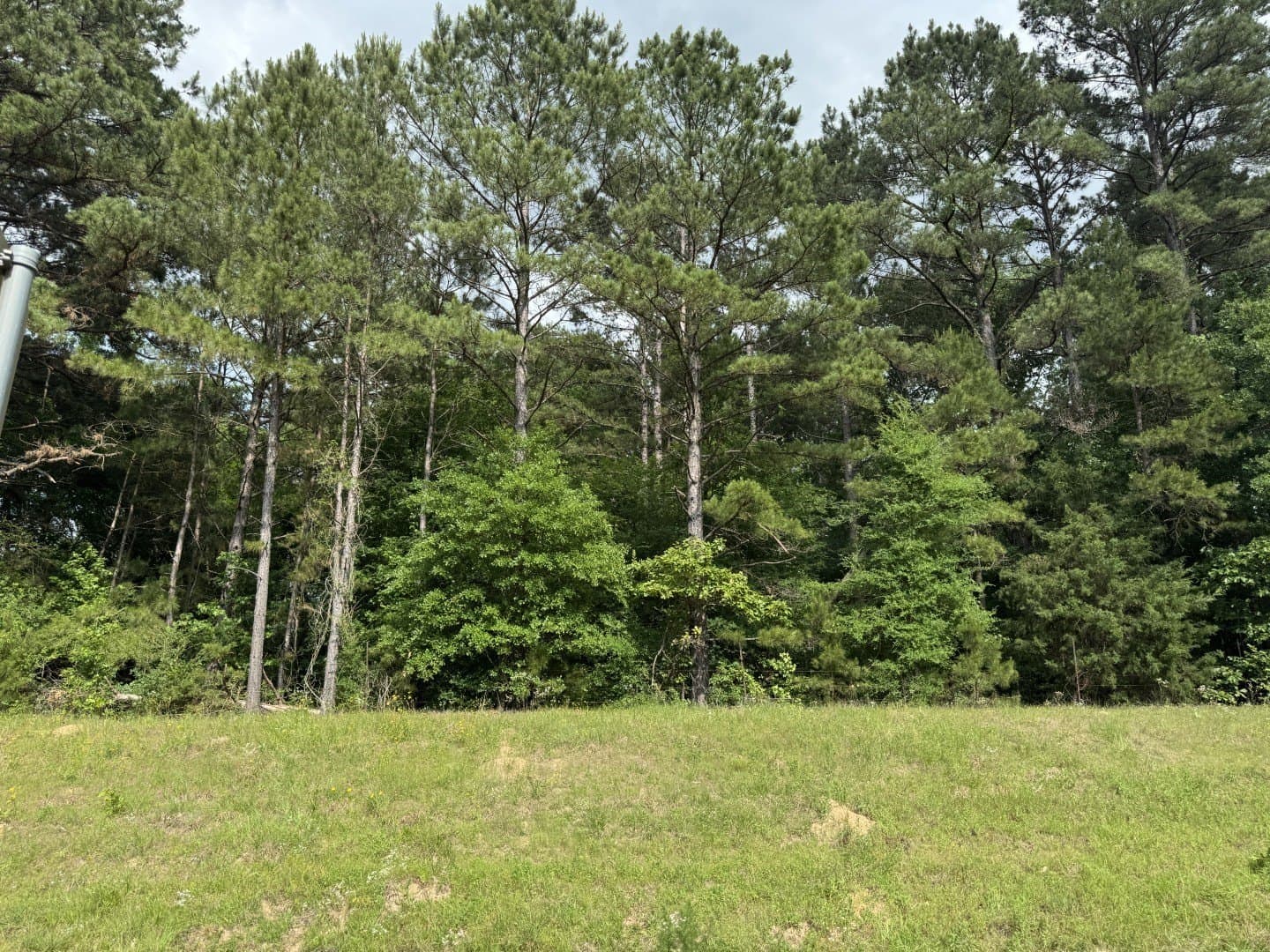 105.5 acres in Upshur County - photo 15