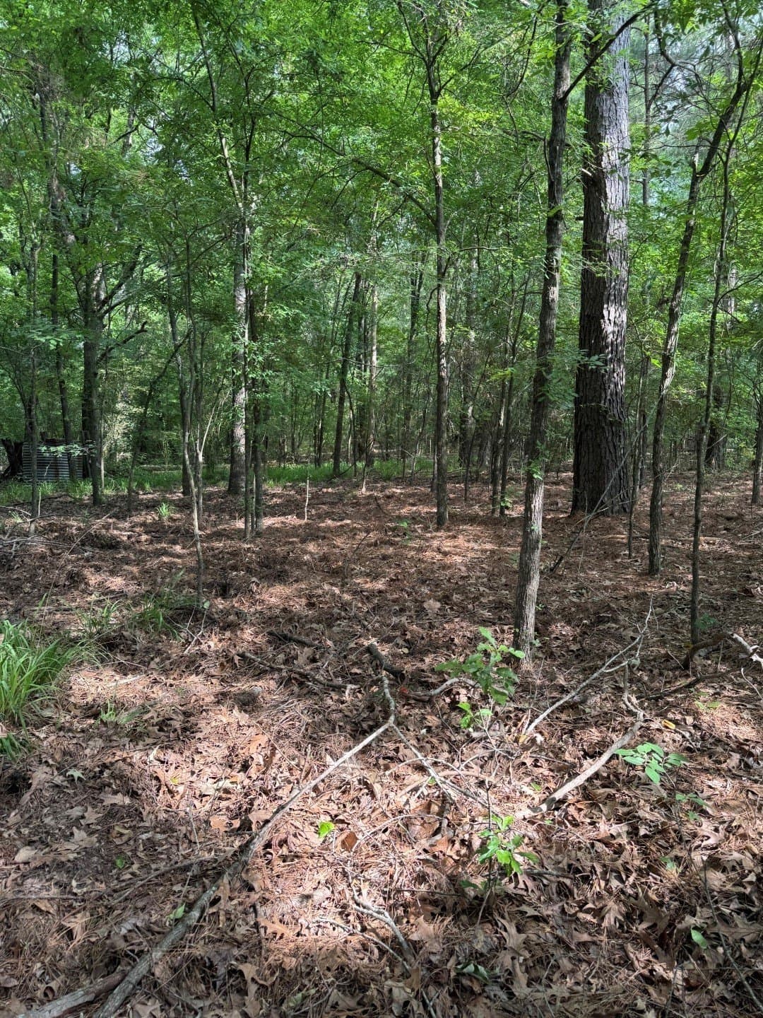 105.5 acres in Upshur County - photo 14