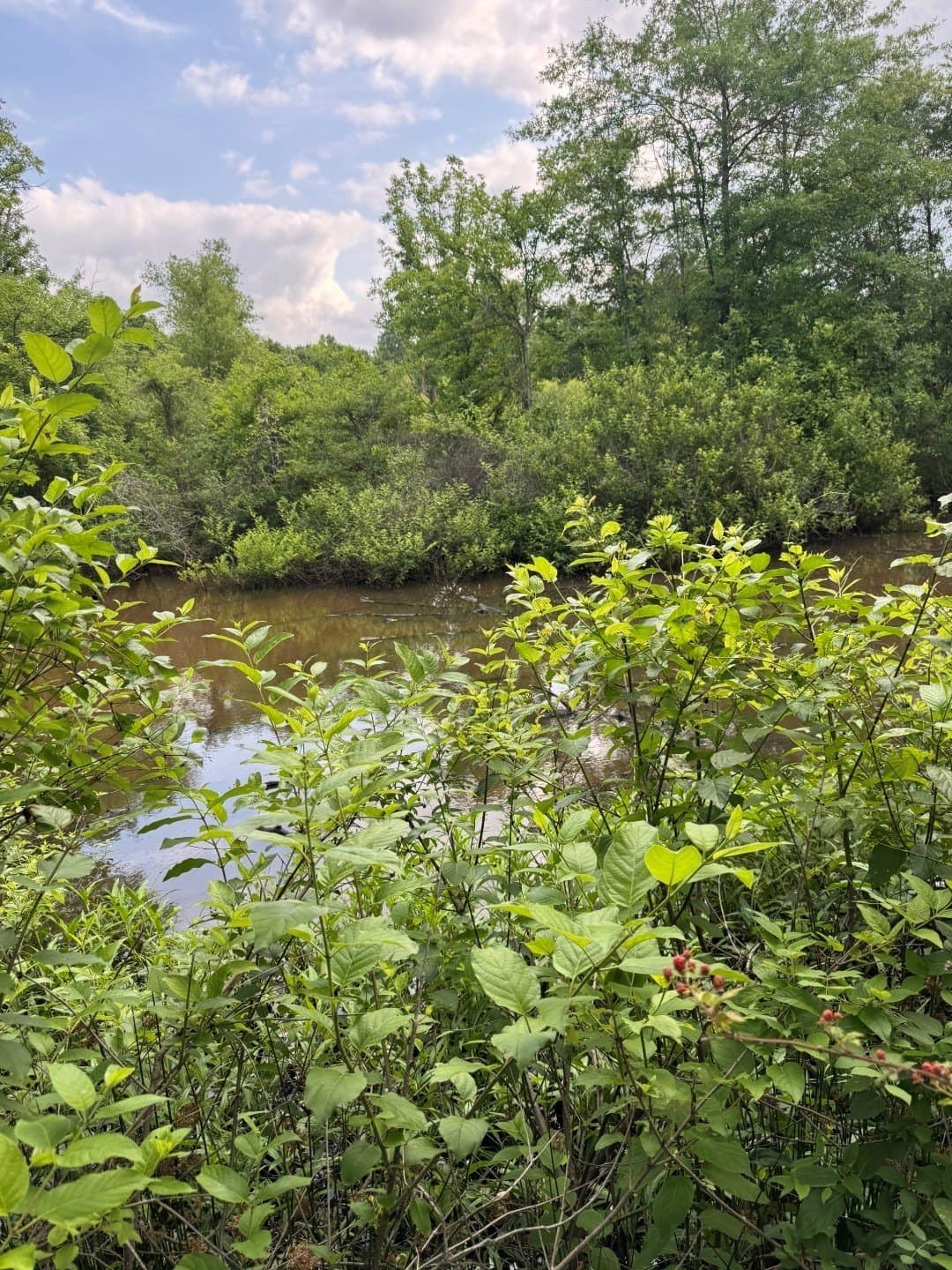 105.5 acres in Upshur County - photo 27