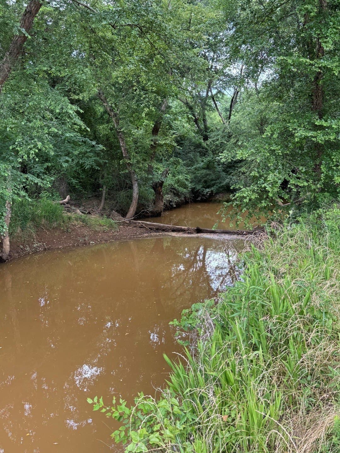 105.5 acres in Upshur County - photo 7