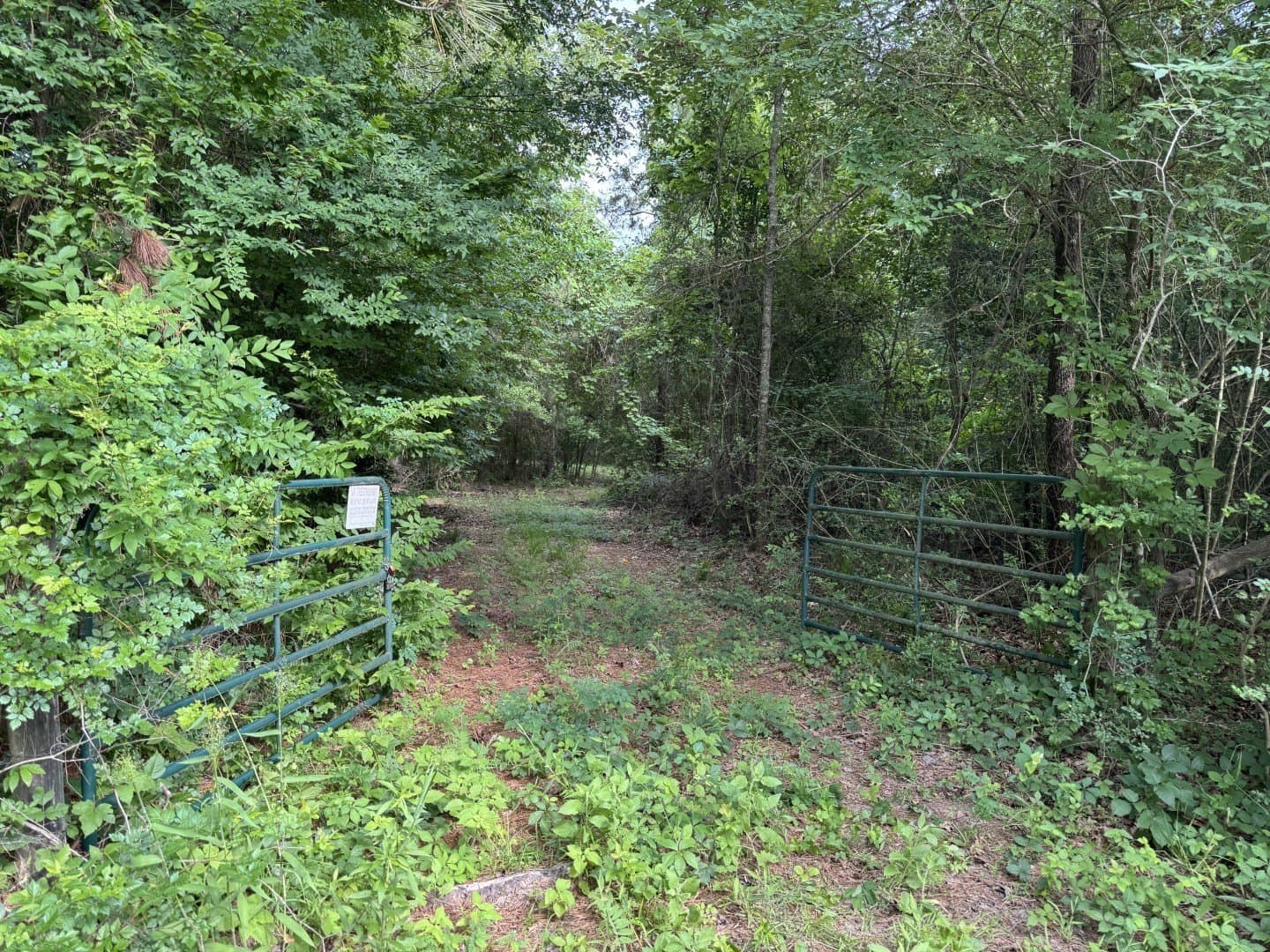 105.5 acres in Upshur County - photo 20