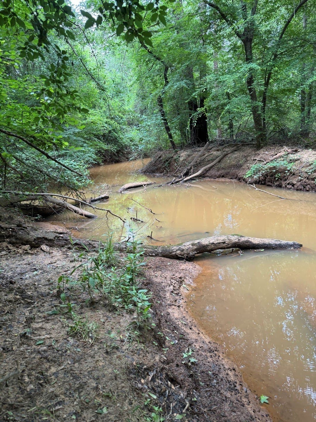 105.5 acres in Upshur County - photo 34
