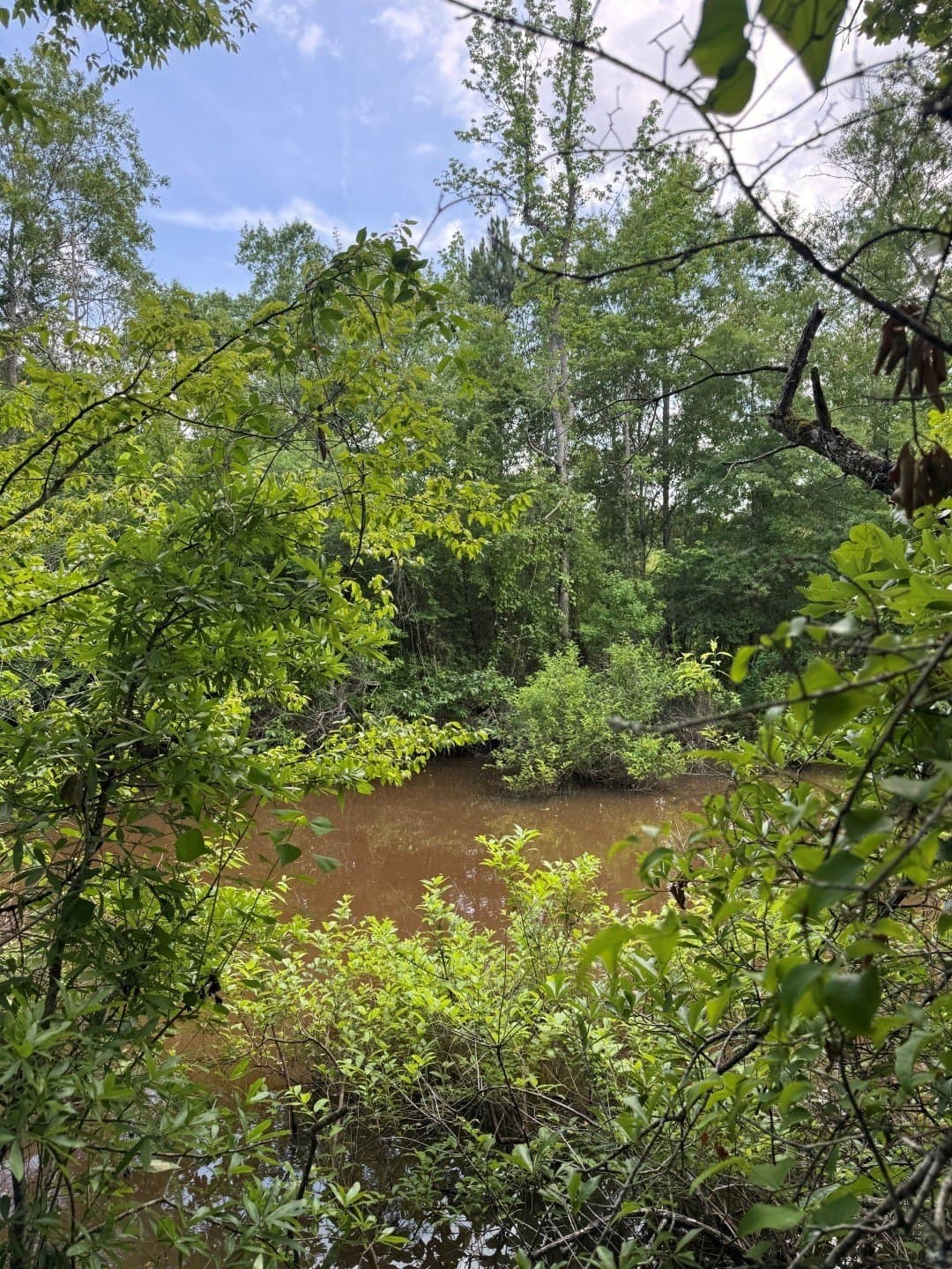 105.5 acres in Upshur County - photo 5