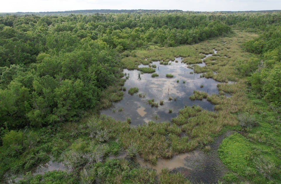 105.5 acres in Upshur County - photo 37