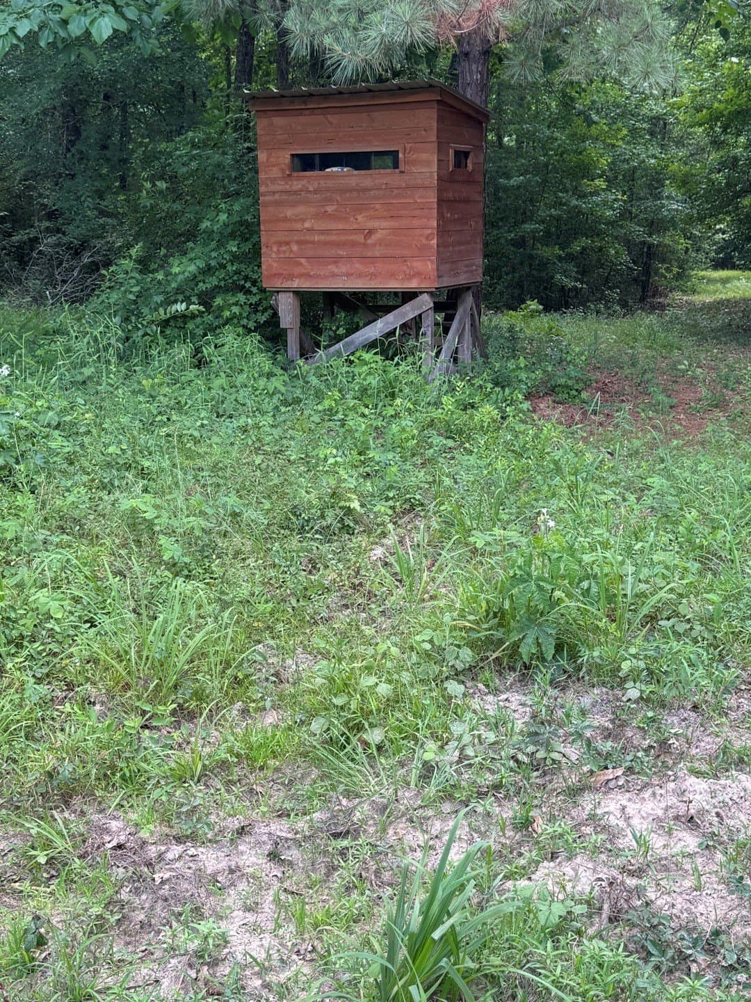 105.5 acres in Upshur County - photo 2