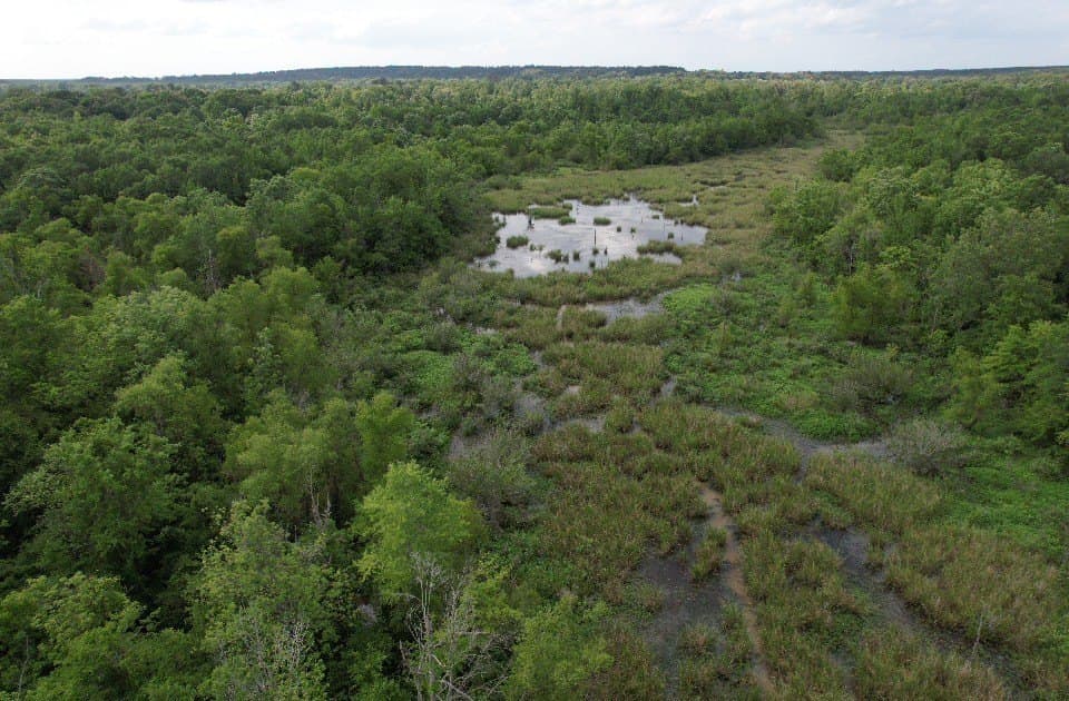 105.5 acres in Upshur County - photo 36