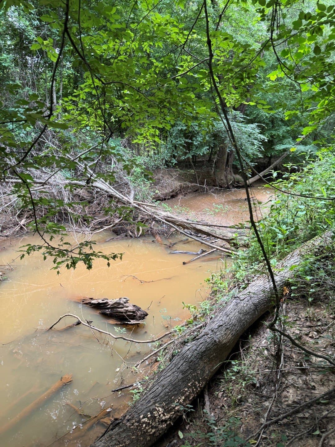 105.5 acres in Upshur County - photo 33