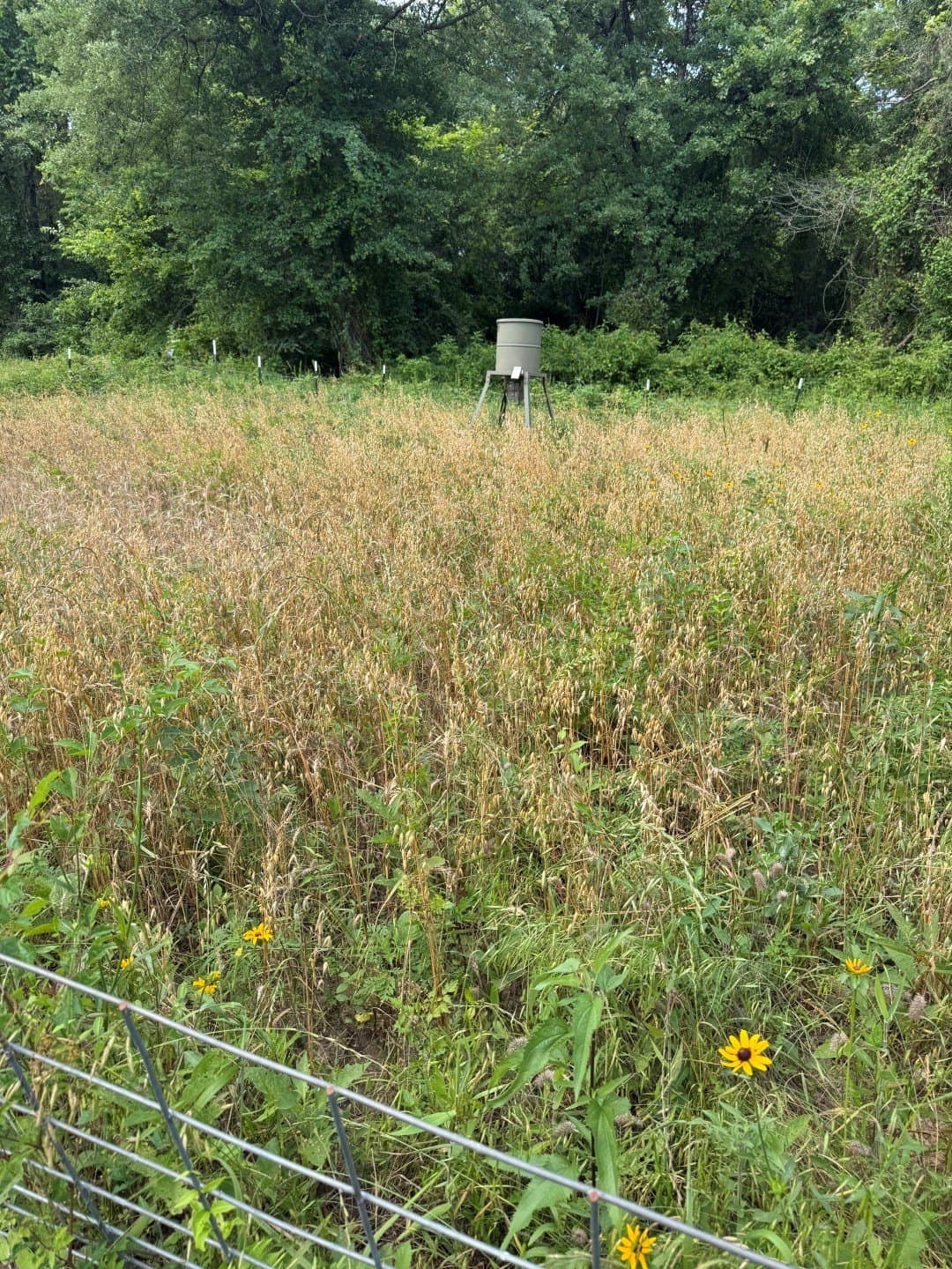 105.5 acres in Upshur County - photo 30