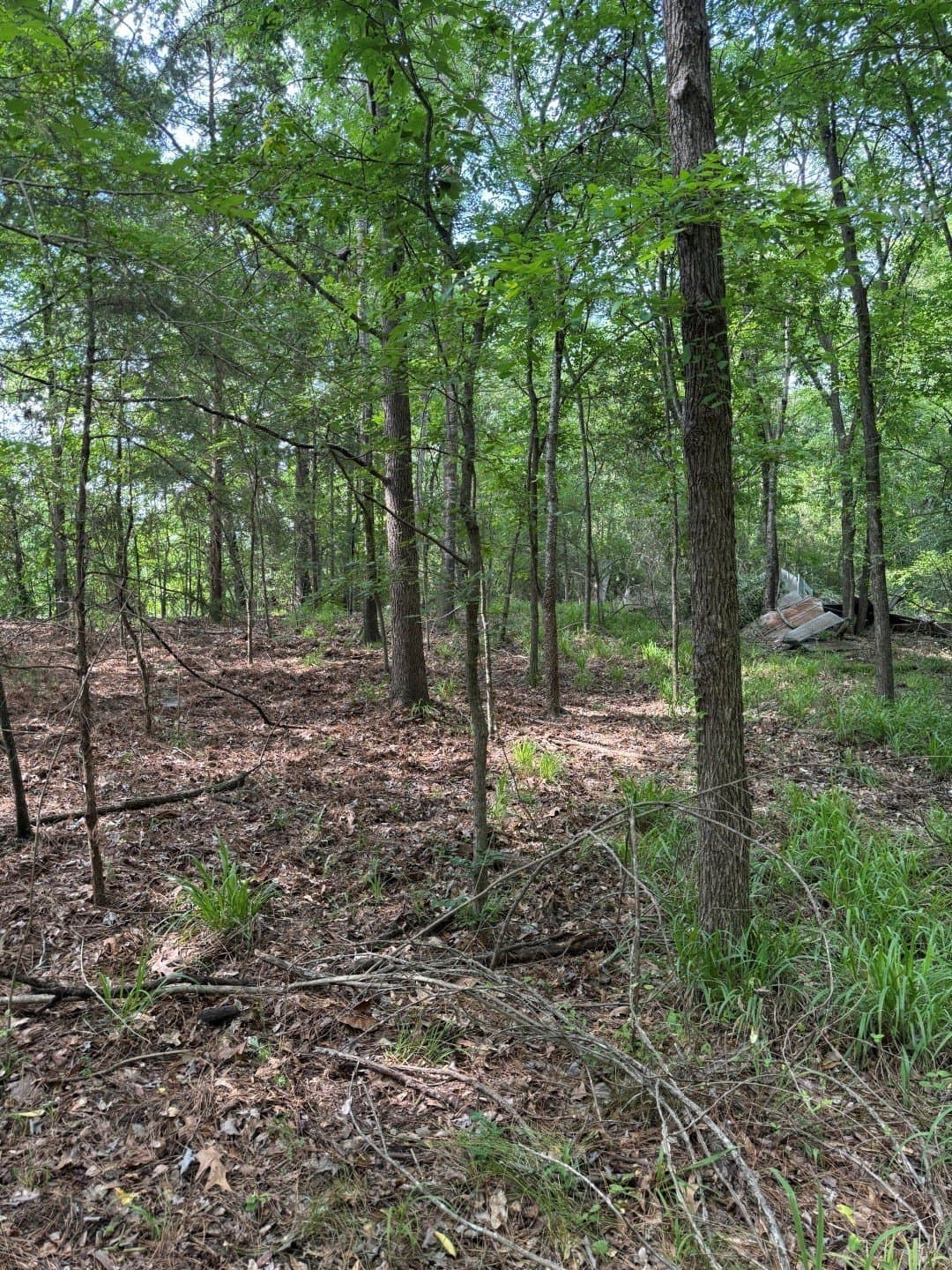 105.5 acres in Upshur County - photo 8