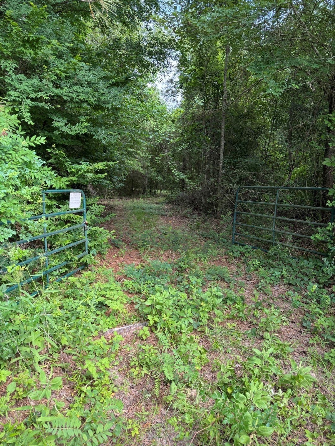 105.5 acres in Upshur County - photo 19