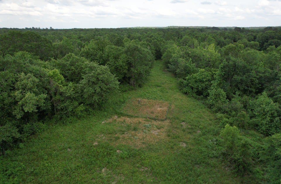 105.5 acres in Upshur County - photo 35