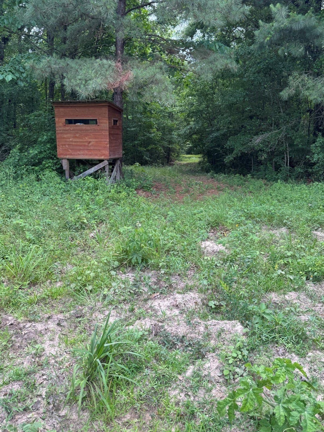 105.5 acres in Upshur County - photo 31