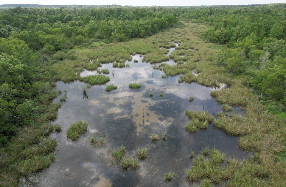 105.5 acres in Upshur County - photo 4