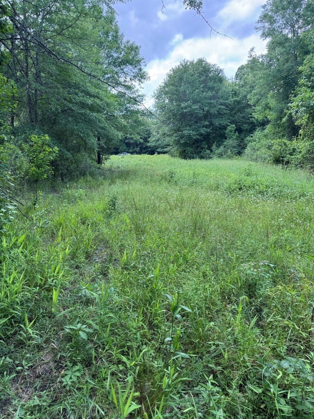105.5 acres in Upshur County - photo 29