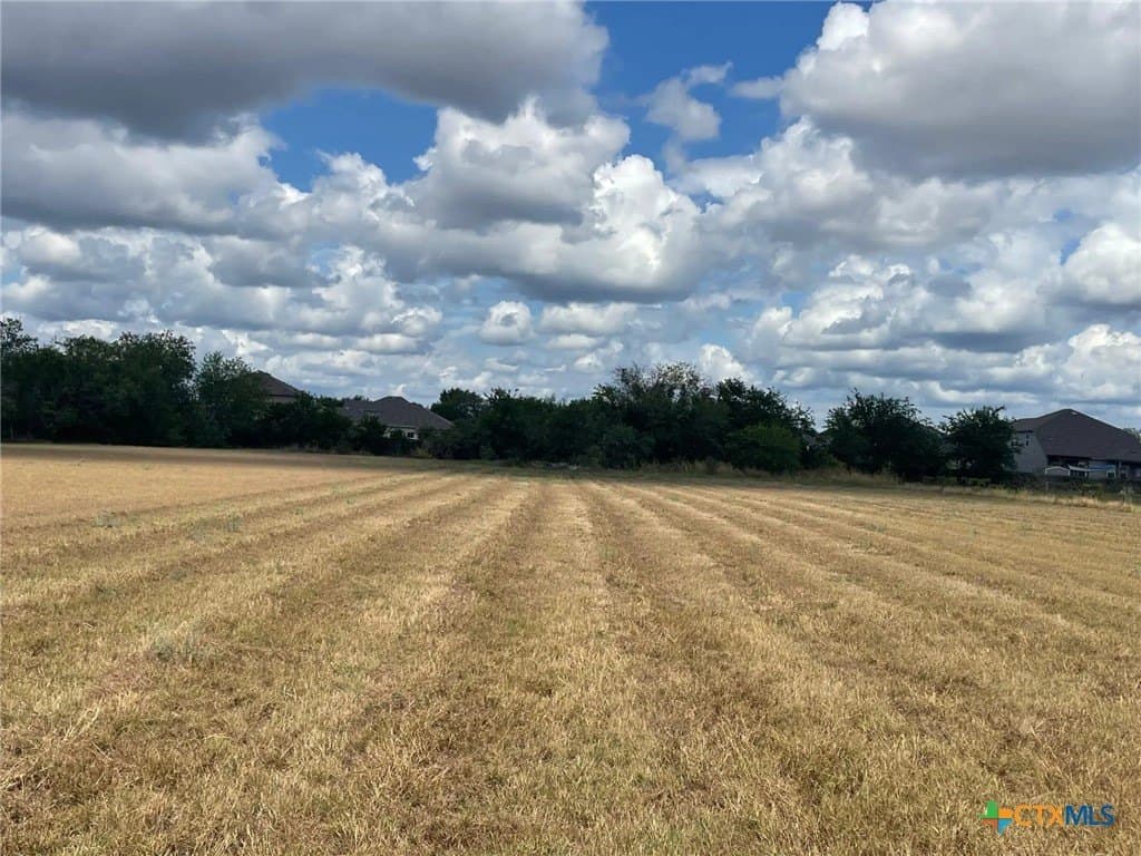 2 acres in Guadalupe County gallery image 2