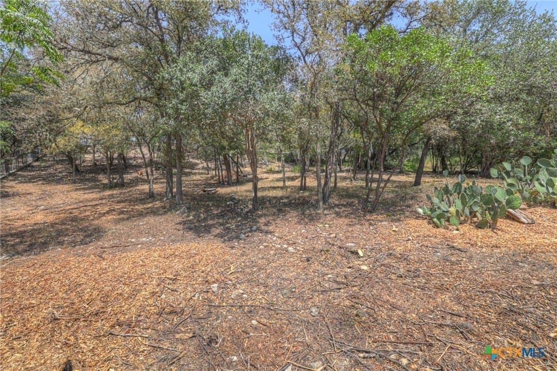 0.59 acres in Hays County - photo 5