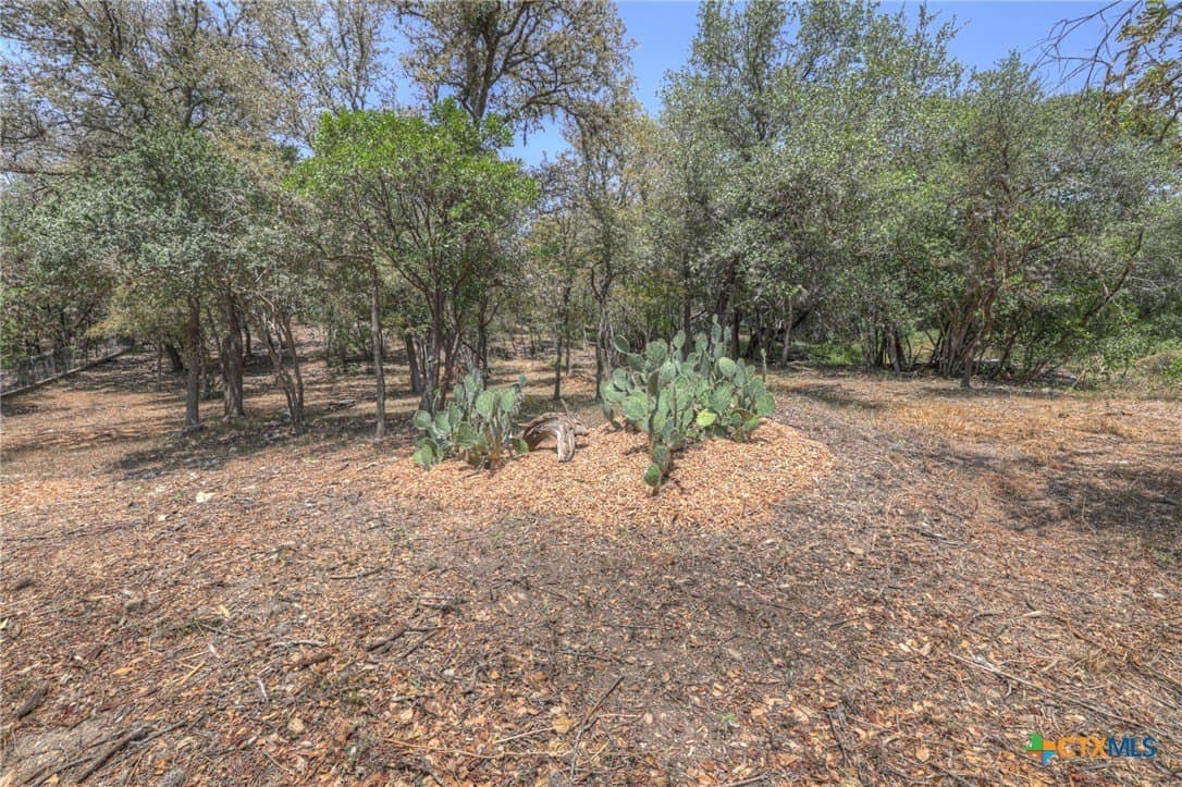 0.59 acres in Hays County - photo 4