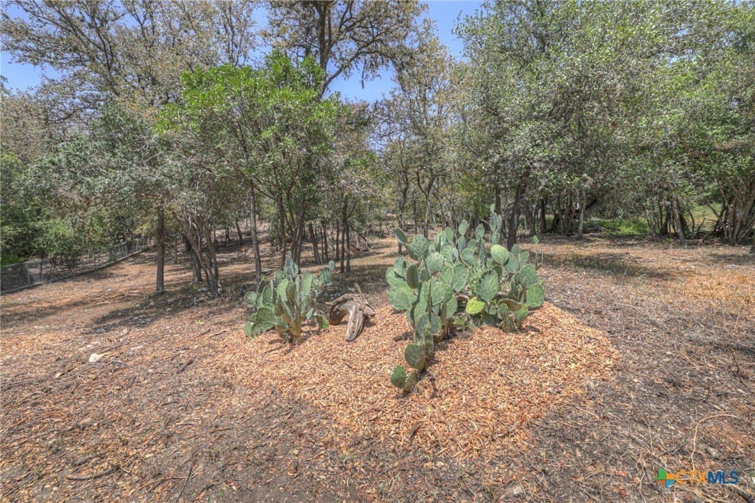 0.59 acres in Hays County - photo 3