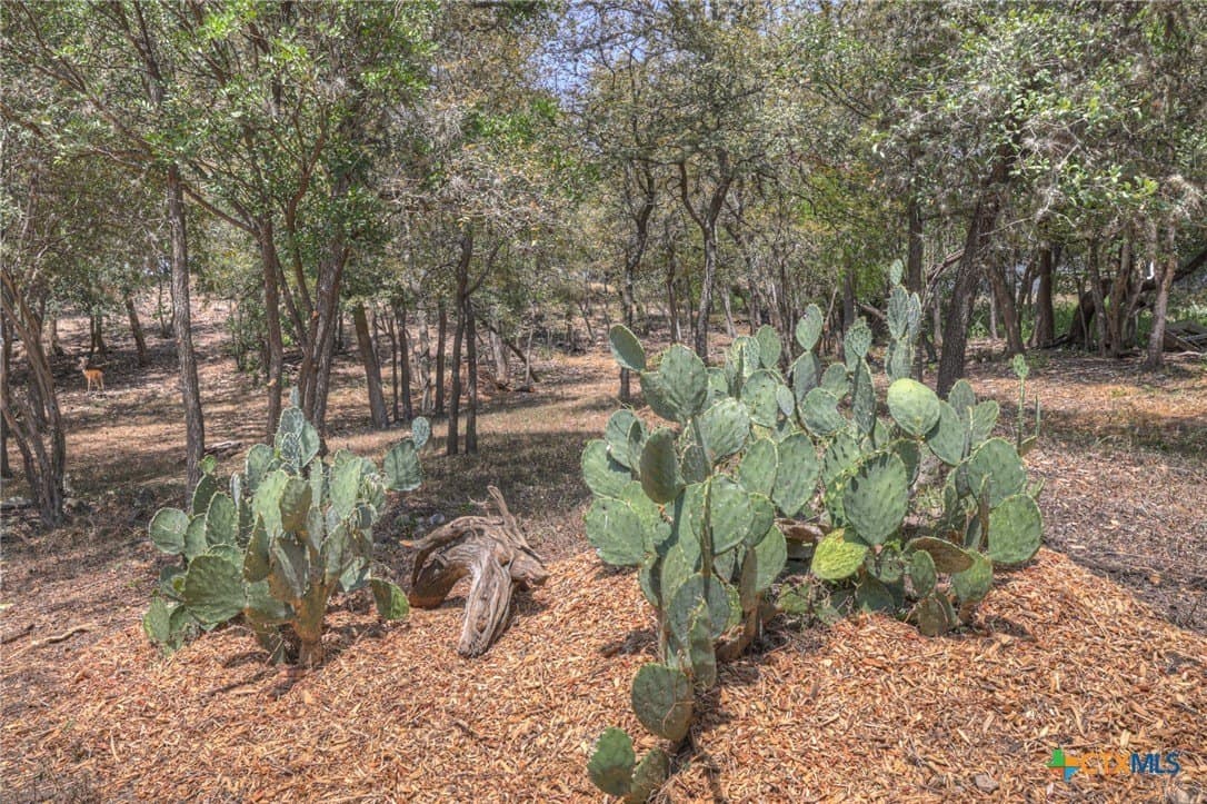 0.59 acres in Hays County - photo 2