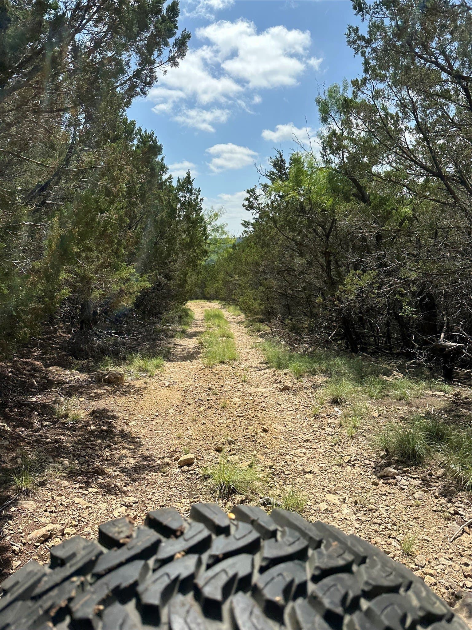 42 acres in Stephens County - photo 34