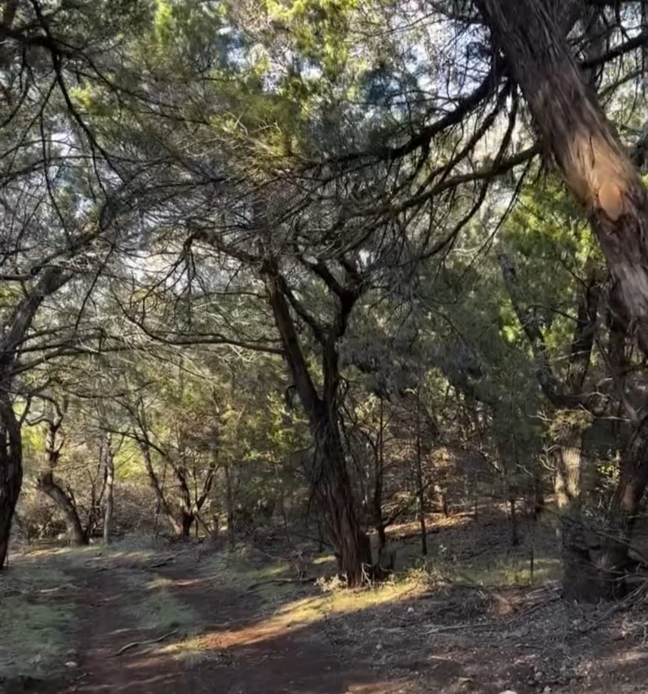 42 acres in Stephens County - photo 29