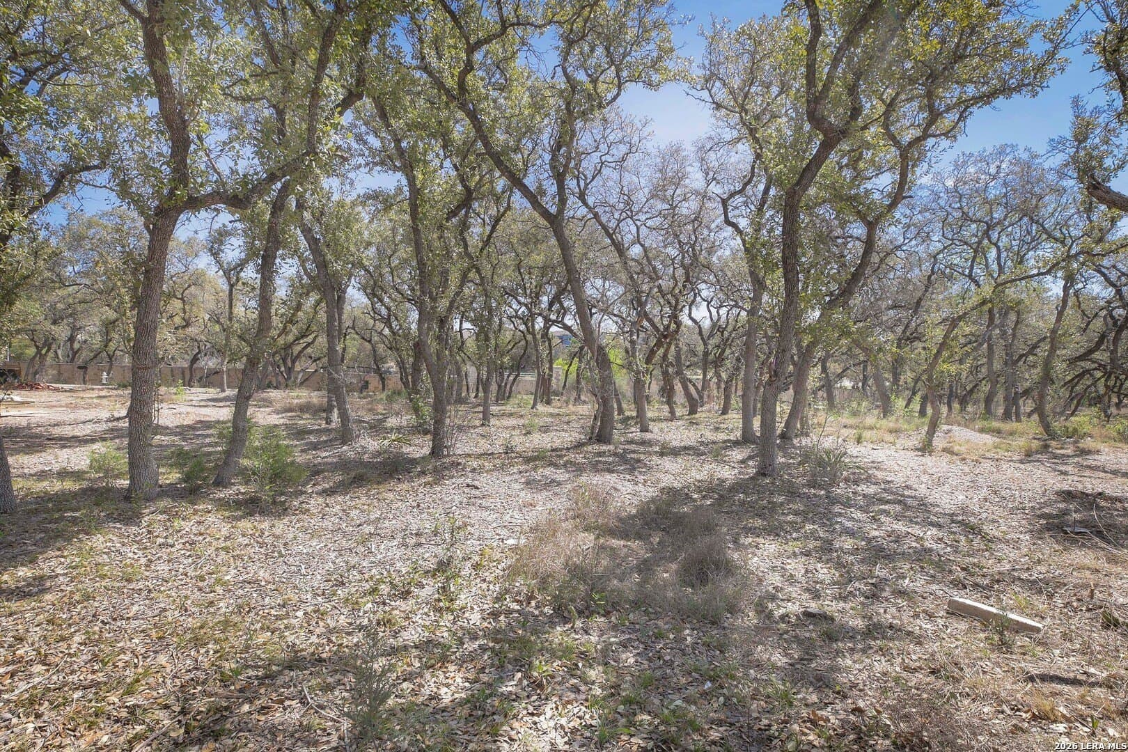 0.31 acres in Bexar County - photo 8