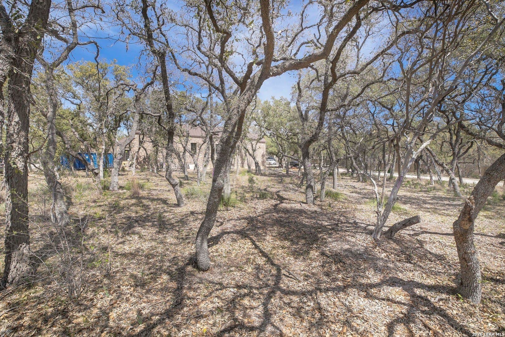 0.31 acres in Bexar County - photo 13