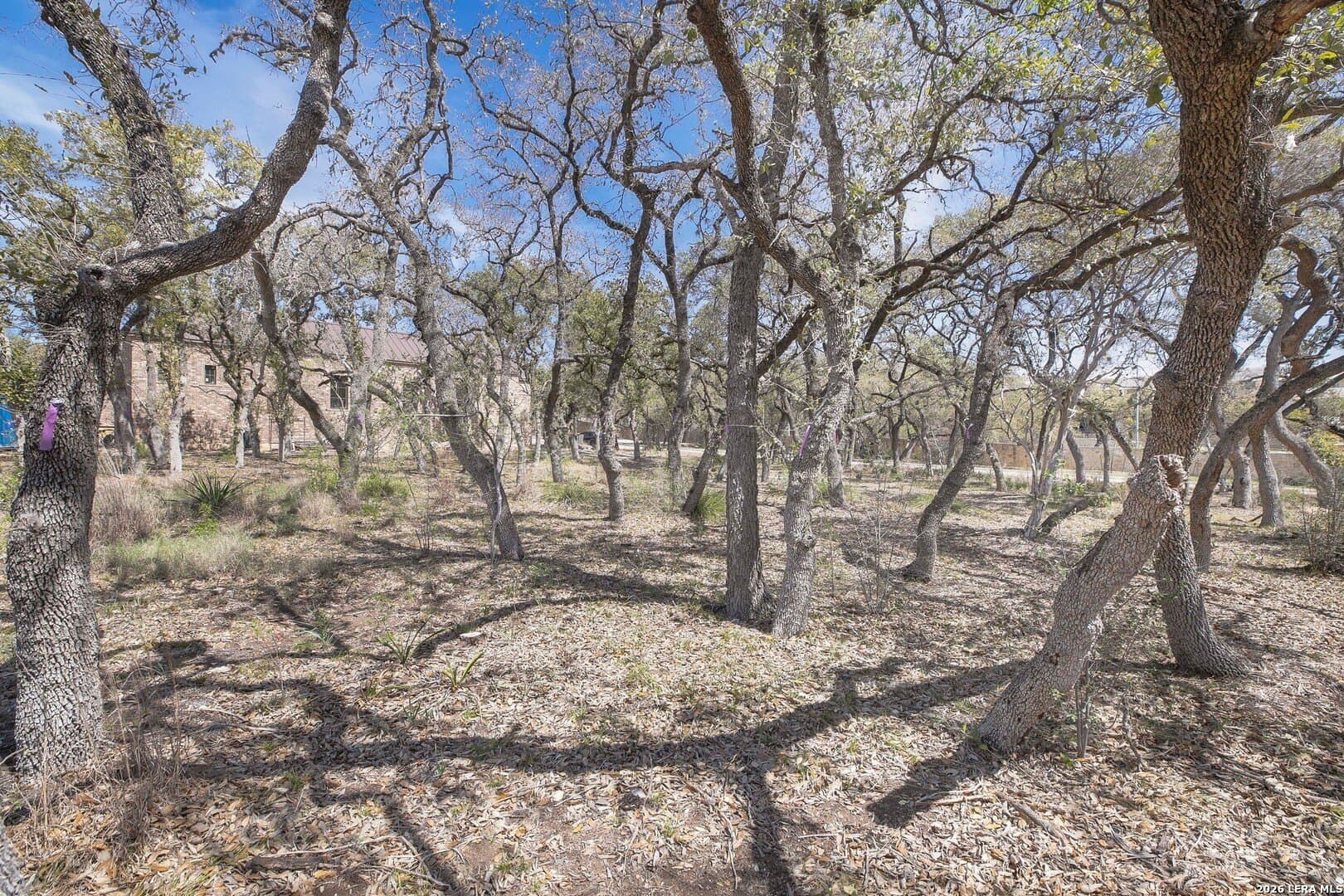 0.31 acres in Bexar County - photo 7