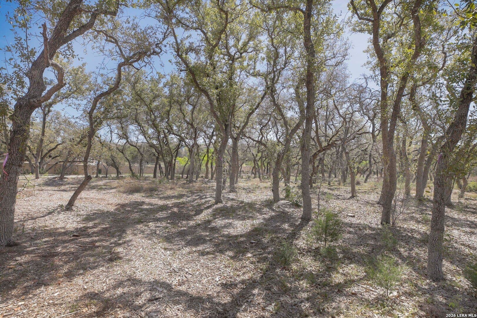 0.31 acres in Bexar County - photo 11