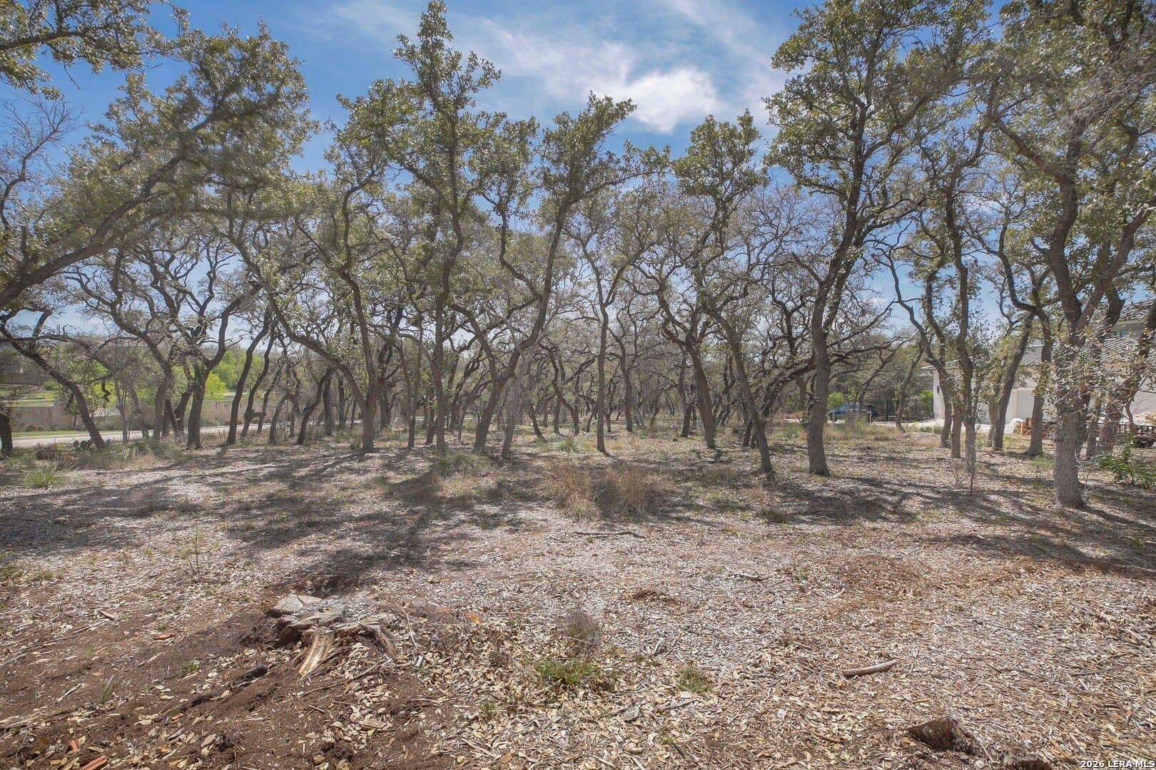 0.31 acres in Bexar County - photo 12