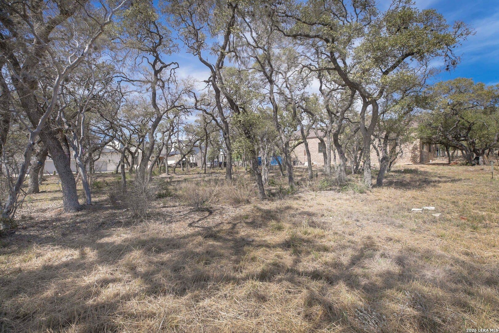 0.31 acres in Bexar County - photo 6