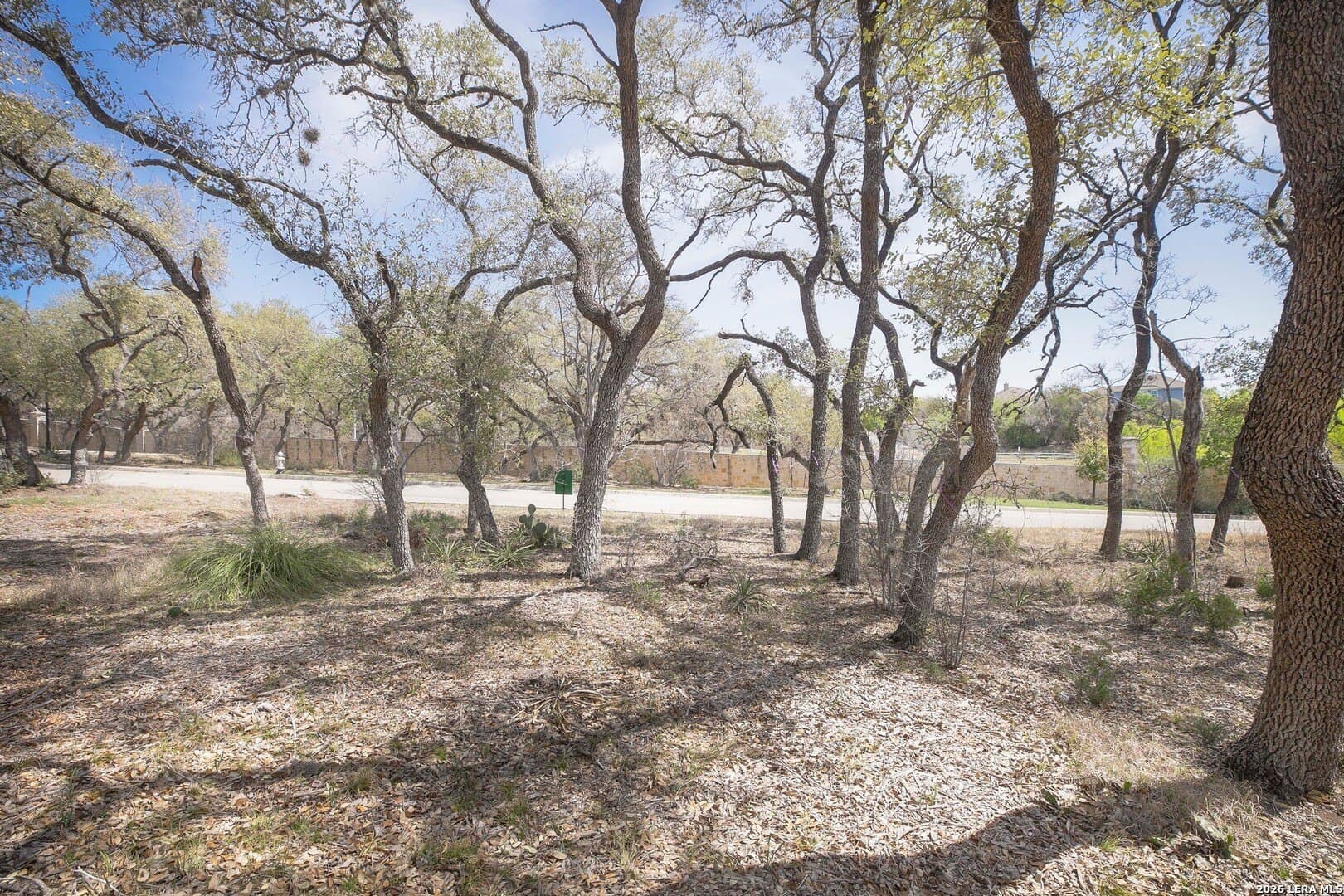 0.31 acres in Bexar County