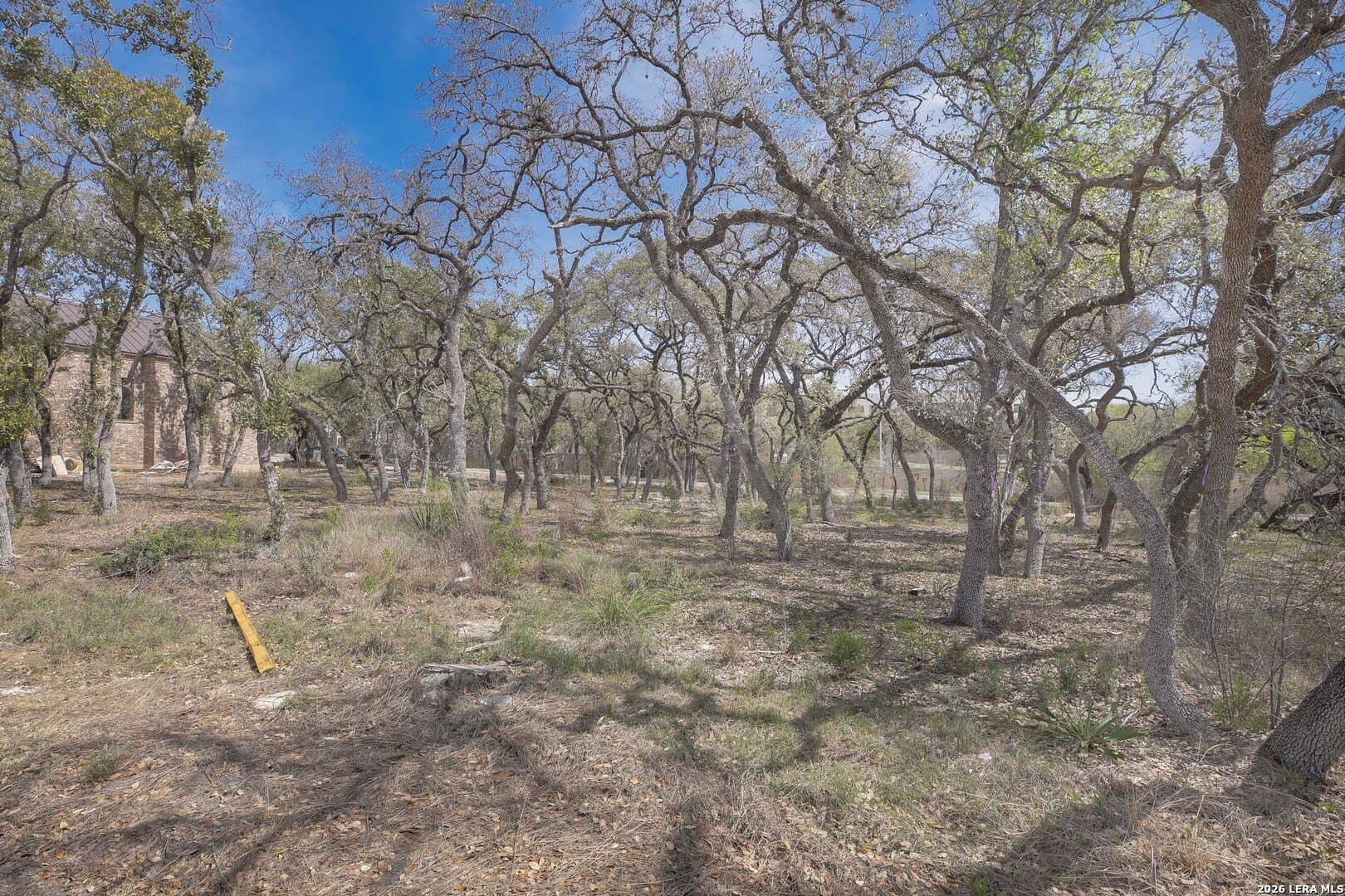 0.31 acres in Bexar County - photo 9