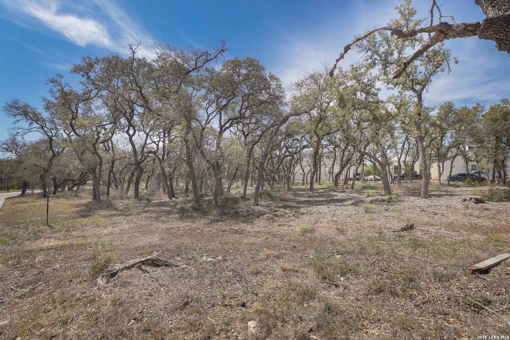 0.31 acres in Bexar County gallery image 3